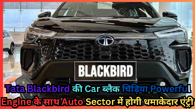 Tata Blackbird की Car ब्लैक चिड़िया Powerful Engine के साथ Auto Sector में होगी धमाकेदार एंट्री